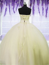 Shallowest Yellow Flat Mesh Gauze Girl's 15 Birthday Ball Gown With Lacework