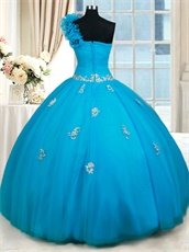 Designer Recommend One Shoulder Sky Blue Tulle Quinceaneara Ball Gown Under 200
