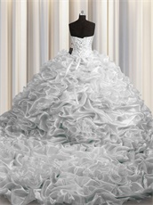 Bubble Court Train Silver Luxury Quinceanera Ball Gown High Quality Tailoring