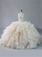 Elegant V-Shaped Waist Horsehair Organza Ruffles Puffy Quinceanera Ball Gown Beige