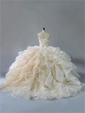 Elegant V-Shaped Waist Horsehair Organza Ruffles Puffy Quinceanera Ball Gown Beige