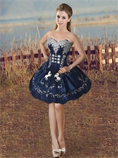 Detachable 3 Pieces Navy Satin and Organza Quinceanera Gown Embroidery Horse/Fastener