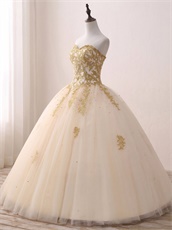 Princess Like Floor Length Champagne Gauze Quinceanera Ball Gowns Gold Applique 2019