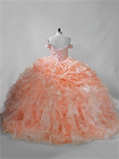 Dual Straps Bluging and Ruffles Puffy Skirt Peach Organza Teenage Quinceanera Ball Gown