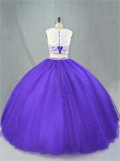 Blue Violet Pansy Two Pieces Suit Show Waist Floor Length Plain Quinceanera Cake Dress