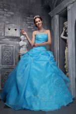 Sky Blue Embroidery 2014 Designer Quinceanera Dress For Sale