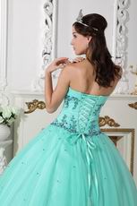 Sweetheart Pale Turquoise Beautiful Winter Quinceanera Dress