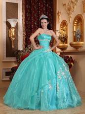 Floor Length Cheap Ball Dresses By Turquoise Organza