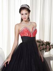 Black Tulle Floor Length Dress For Evening Celebrity