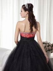 Black Tulle Floor Length Dress For Evening Celebrity