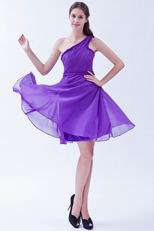 Puple Hot Sell Bridesmaid Dress With One Shoulder Skirt