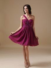 Plum One Shoulder Bridesmaid Dress For 2014 Wedding