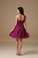 Plum One Shoulder Bridesmaid Dress For 2014 Wedding