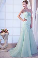 Pretty Mermaid Sweep Train Light Green Lace Prom Dress Online