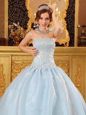 Baby Blue Organza For 2018 Winter Quinceanera Party Dress