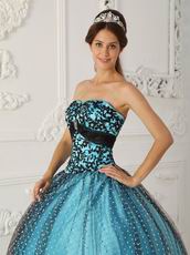 Pretty Dotted Tulle Fabric Prom Ball Gown With Black Applique