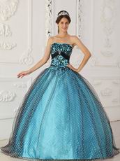 Pretty Dotted Tulle Fabric Prom Ball Gown With Black Applique