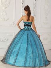 Pretty Dotted Tulle Fabric Prom Ball Gown With Black Applique