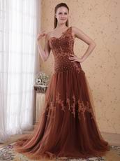 One Shoulder Brown Evening Dress Top Designer Lists