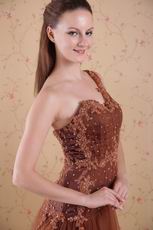 One Shoulder Brown Evening Dress Top Designer Lists