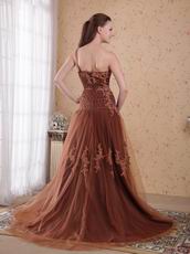 One Shoulder Brown Evening Dress Top Designer Lists