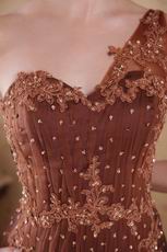 One Shoulder Brown Evening Dress Top Designer Lists