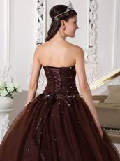 Chocolate Tulle Adult Ceremony Party Dress With Rhinestone