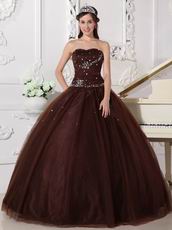 Chocolate Tulle Adult Ceremony Party Dress With Rhinestone