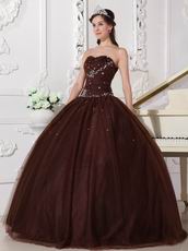 Chocolate Tulle Adult Ceremony Party Dress With Rhinestone