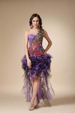 Cascade Peacock Plume High Low One Shoulder Prom Dress