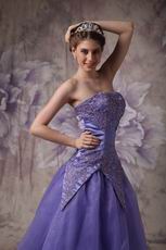 Top Designer Blue Violet Evening Gowns For Lady