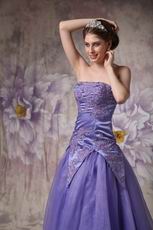 Top Designer Blue Violet Evening Gowns For Lady