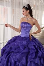 Heliotrope Ruffled Organza Puffy Skirt Quinceanera Gown