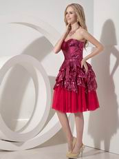 Fuchsia Sweetheart Flare Sequin Cocktail Dress 2014