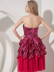 Fuchsia Sweetheart Flare Sequin Cocktail Dress 2014