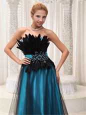 Sky Blue Pageant Prom Dress Covered With Black Tulle and Feather