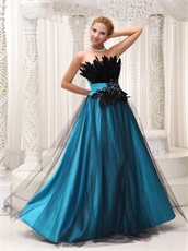 Sky Blue Pageant Prom Dress Covered With Black Tulle and Feather