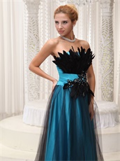 Sky Blue Pageant Prom Dress Covered With Black Tulle and Feather