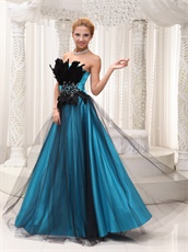 Sky Blue Pageant Prom Dress Covered With Black Tulle and Feather