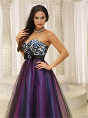 Leopard Bust With Colorful Tulle Holiday Cocktail Prom Dress Long