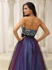 Leopard Bust With Colorful Tulle Holiday Cocktail Prom Dress Long