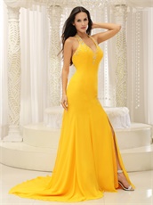 Sexy Open Back Celebrity Dreses For Beauty And The Beast Theme