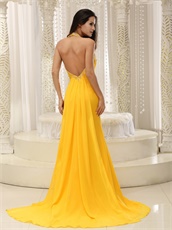Sexy Open Back Celebrity Dreses For Beauty And The Beast Theme