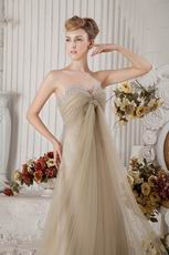 Custom Made Front Drap Champagne Dress To Evening Wear