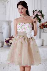 Lovely Sweetheart Champagne Short Prom Dress With Colorful Flowers