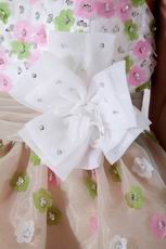 Lovely Sweetheart Champagne Short Prom Dress With Colorful Flowers