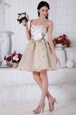 Lovely Sweetheart Champagne Short Prom Dress With Colorful Flowers