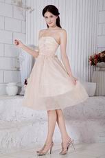 Sweetheart Champagne Graduation Short Dress With Applique