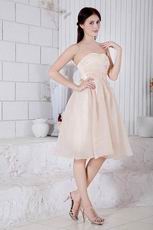 Sweetheart Champagne Graduation Short Dress With Applique