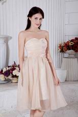 Sweetheart Champagne Graduation Short Dress With Applique